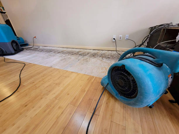 Professional Basement Flood Cleanup technician working in Pentwater, MI